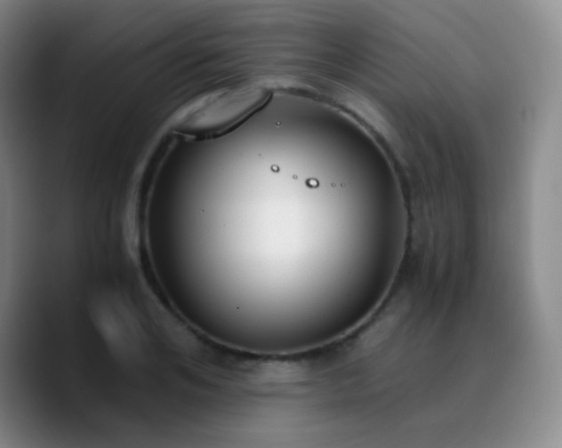 X0000090740984200707201425