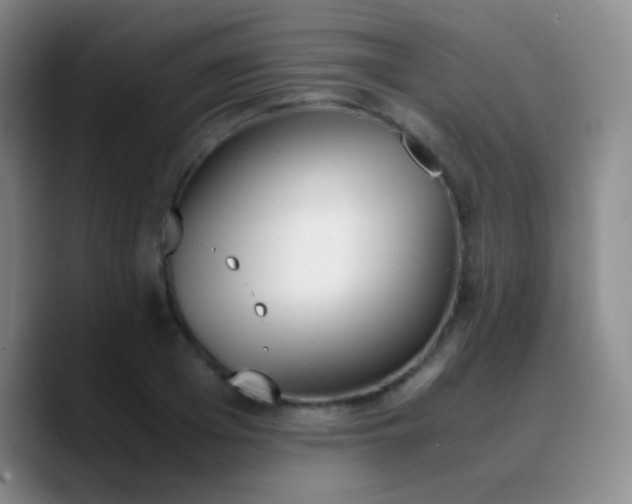 X0000090740985200707201425