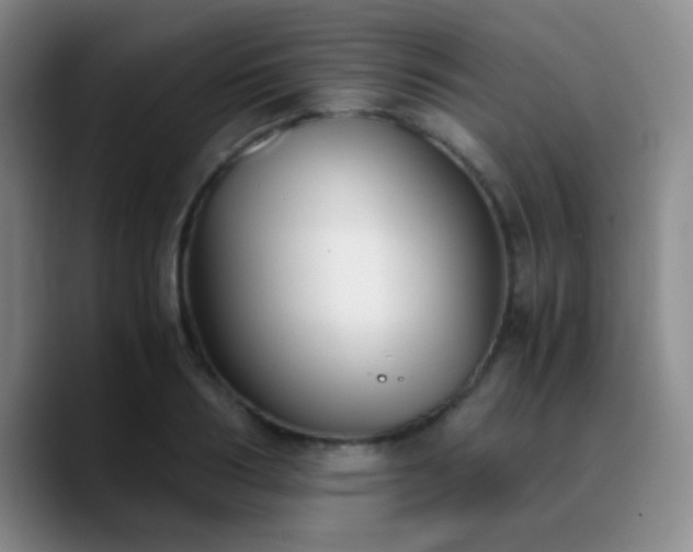 X0000090740986200707201425