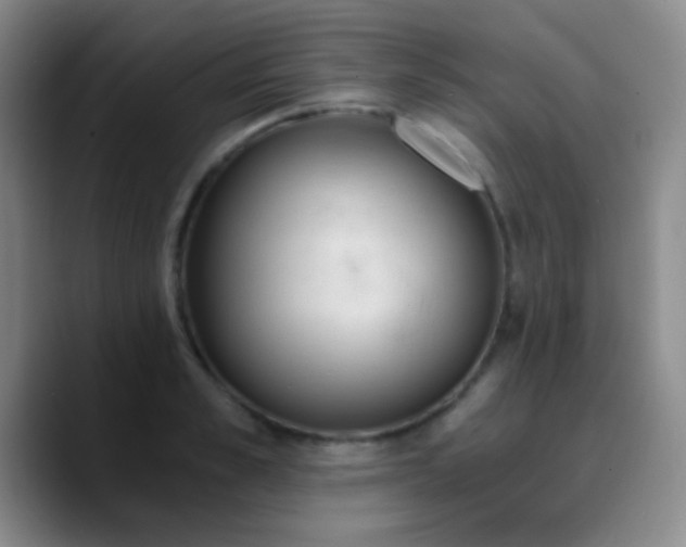 X0000090740989200707201425
