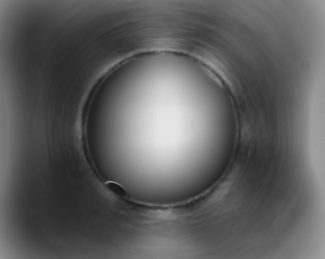 X0000090740990200707201425