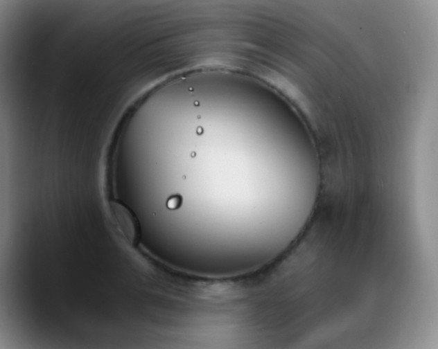 X0000090740991200707201425