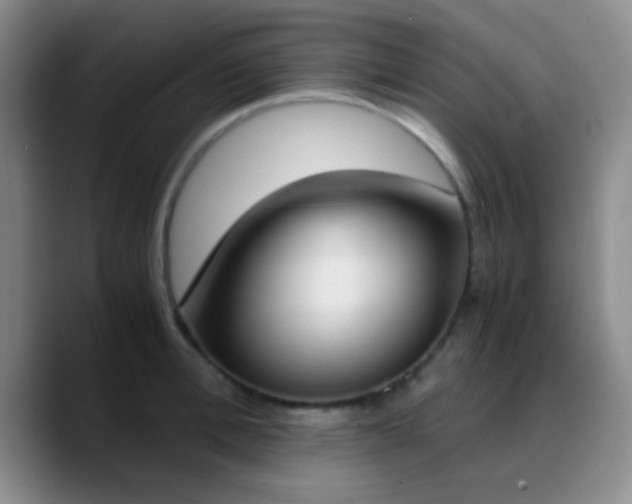 X0000090740996200707201425