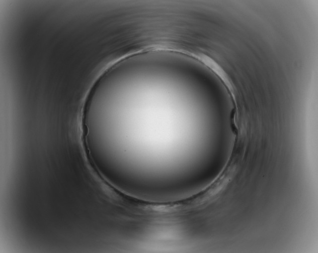 X0000090741005200707201425