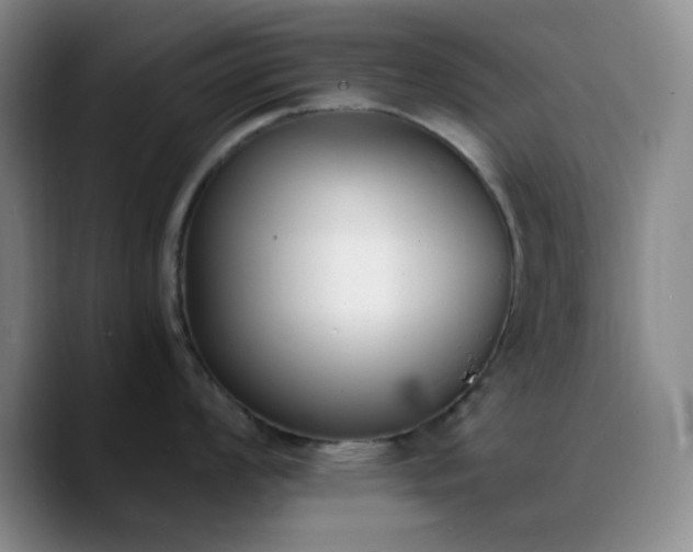 X0000090741008200707201425