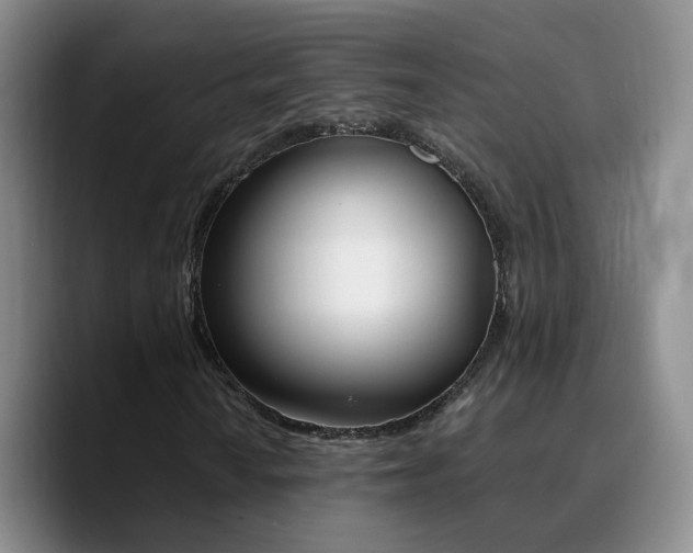 X0000090741010200707201424
