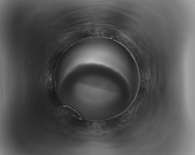 X0000090741013200707201424