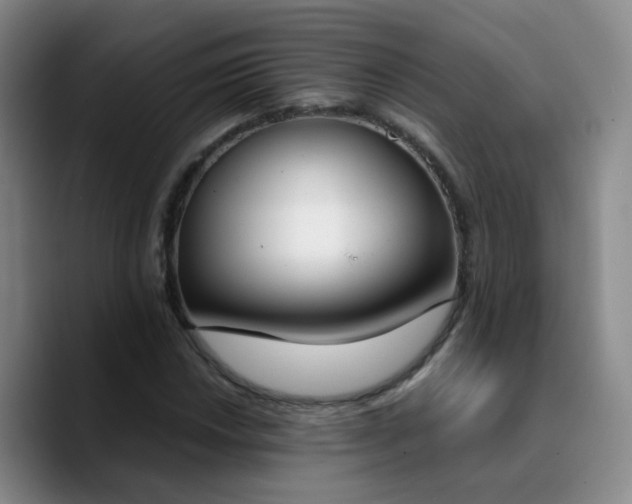X0000090741018200707201425