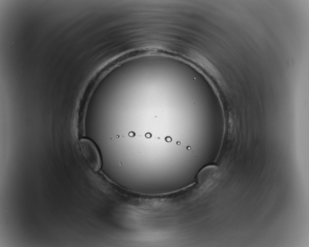 X0000090741020200707201425