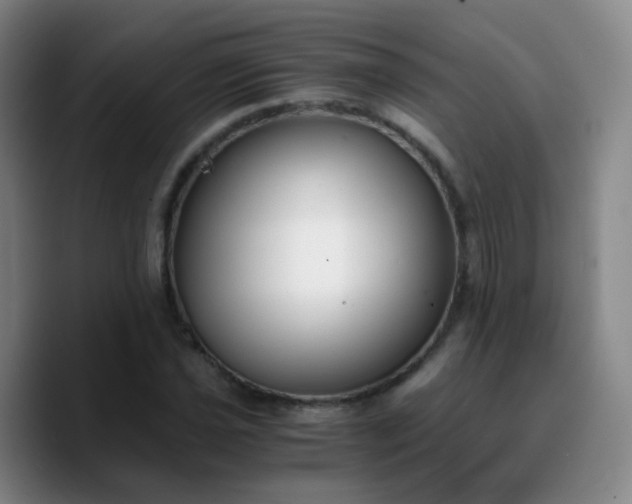 X0000090741021200707201425