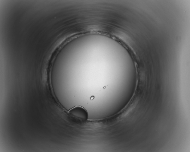X0000090741023200707201425