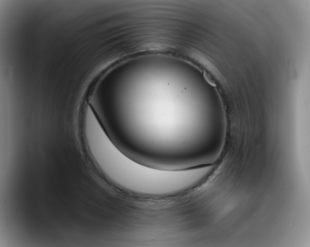 X0000090741026200707201425