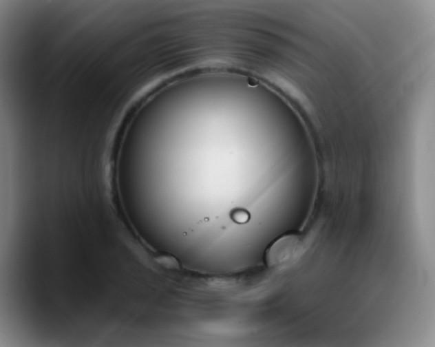 X0000090741029200707201425