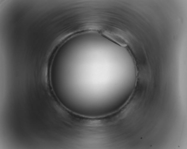 X0000090741030200707201425