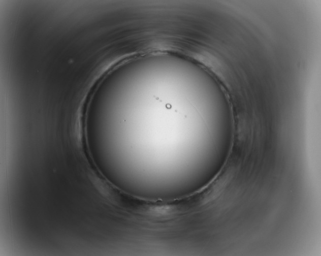X0000090741031200707201425