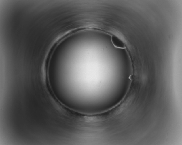 X0000090741032200707201425