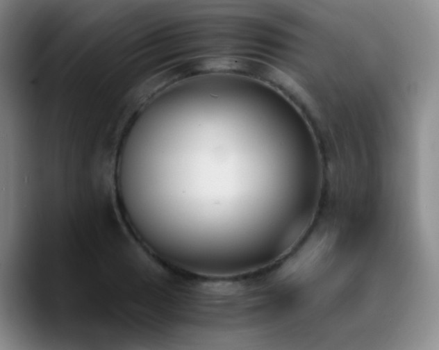 X0000090741033200707201425