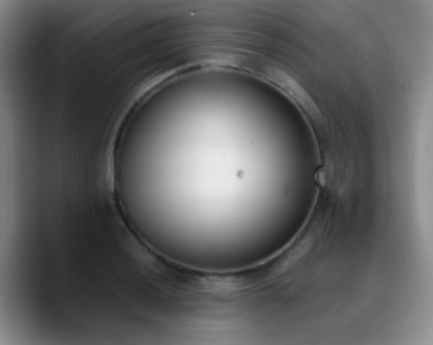 X0000090741036200707201425
