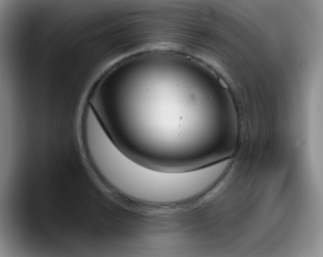 X0000090741038200707201425