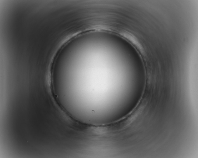 X0000090741040200707201425