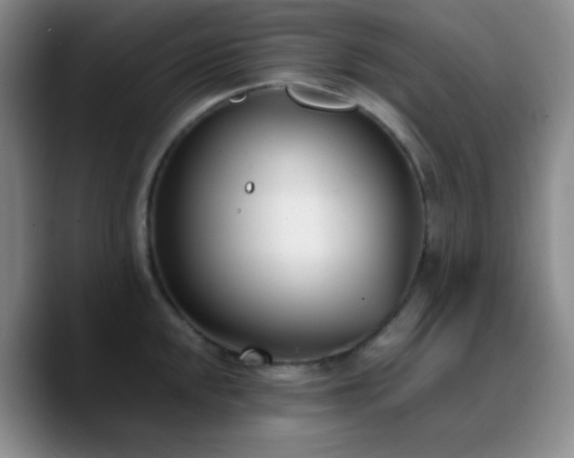 X0000090741048200707201425