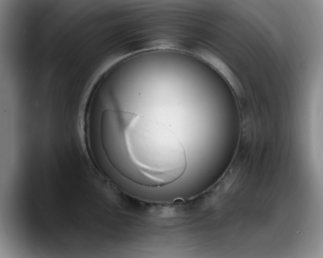 X0000090741051200707201425