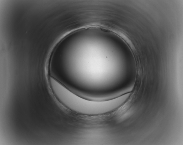 X0000090741054200707201425