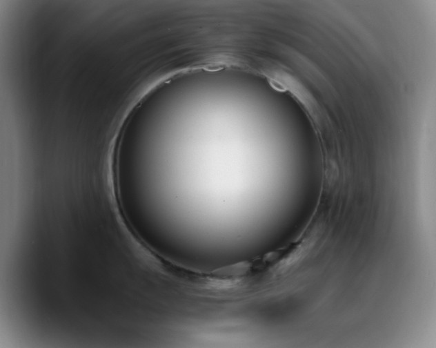 X0000090741055200707201425