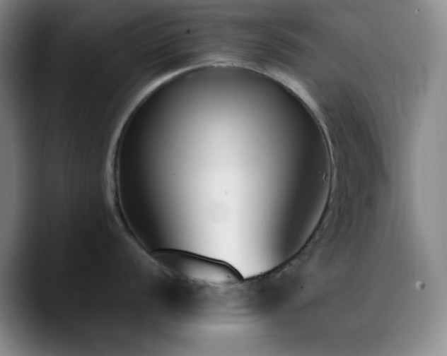 X0000090741056200707201425