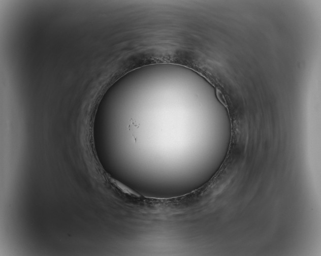 X0000090741057200707201424