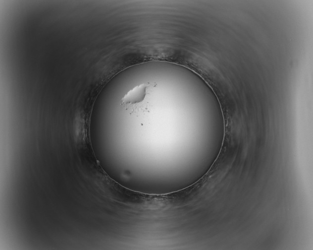 X0000090741058200707201424