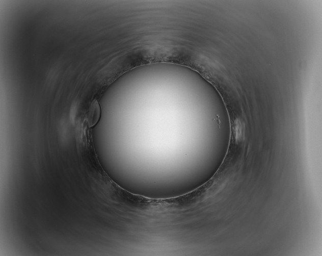 X0000090741059200707201424
