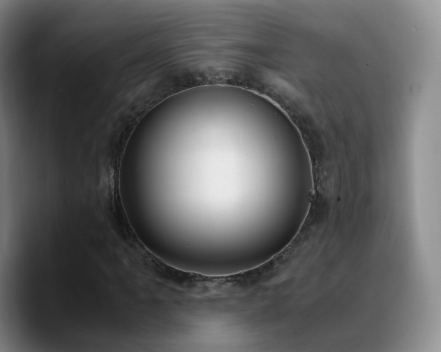 X0000090741061200707201424