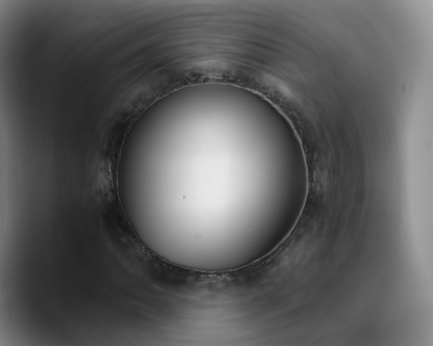 X0000090741062200707201424