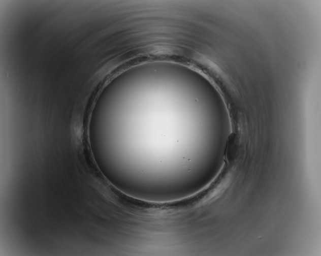 X0000090741065200707201424
