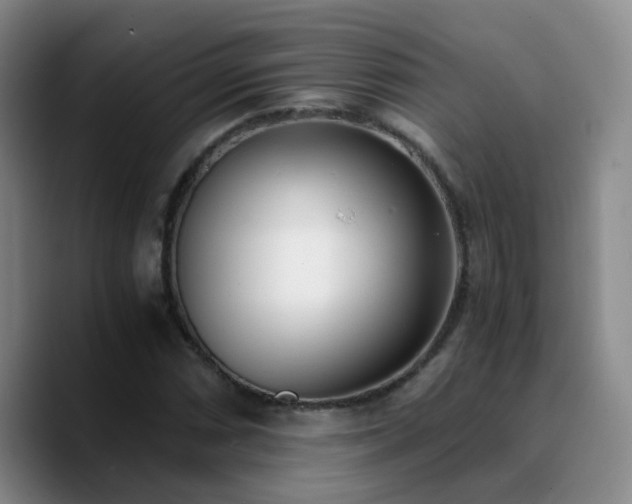 X0000090741066200707201424
