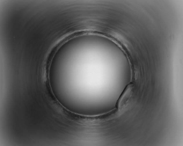 X0000090741069200707201424