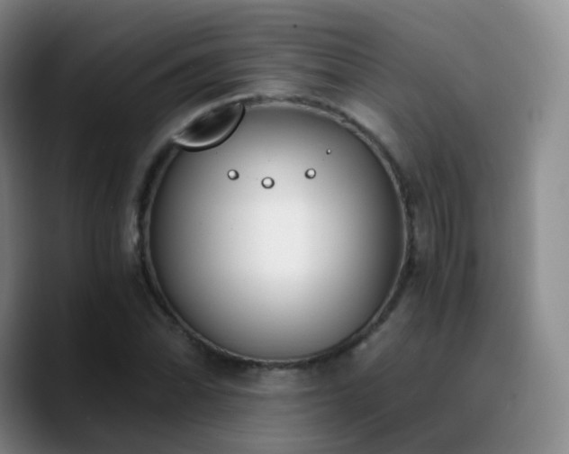 X0000090741070200707201424