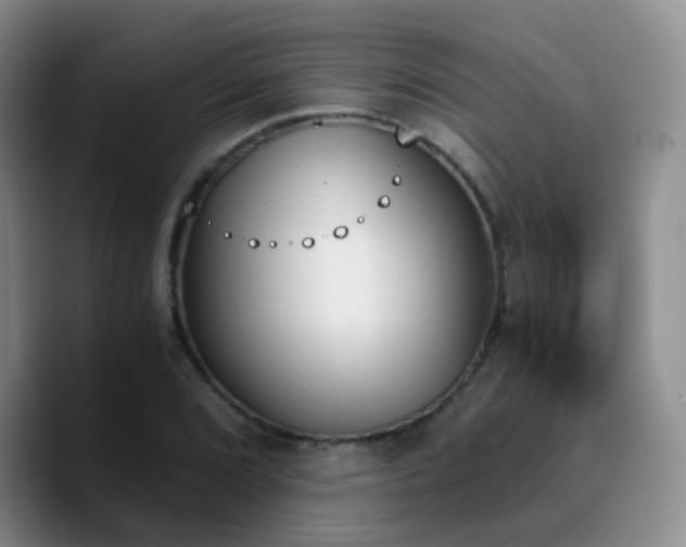 X0000090741072200707201424