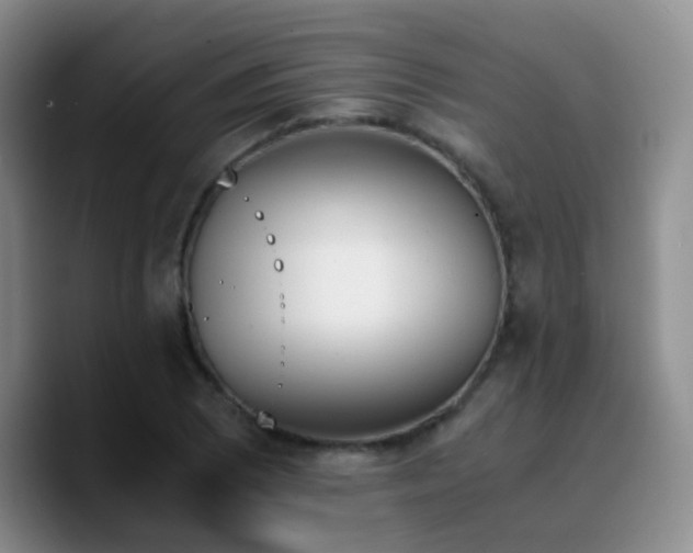 X0000090741073200707201424