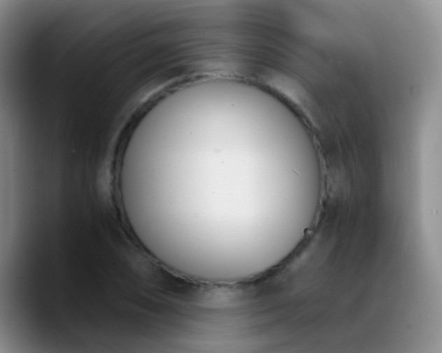 X0000090741074200707201424
