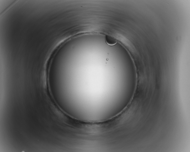 X0000090741079200707201424