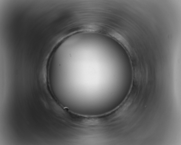 X0000090741083200707201424