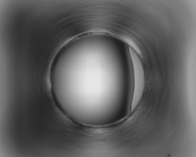X0000090741084200707201424
