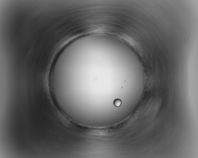 X0000090741086200707201424