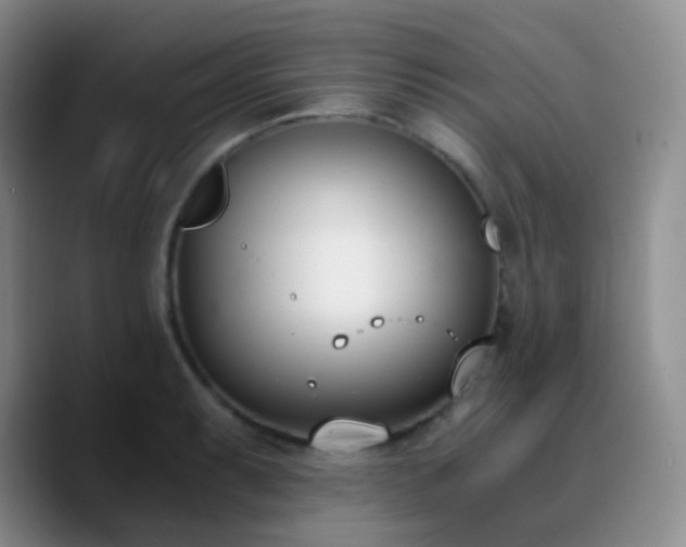 X0000090741087200707201424