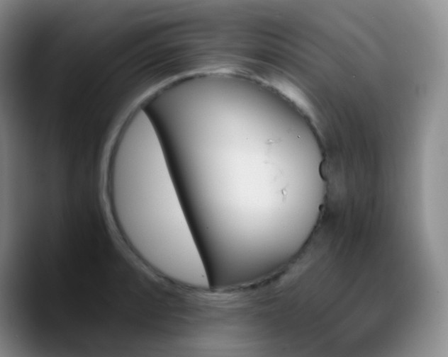 X0000090741088200707201424