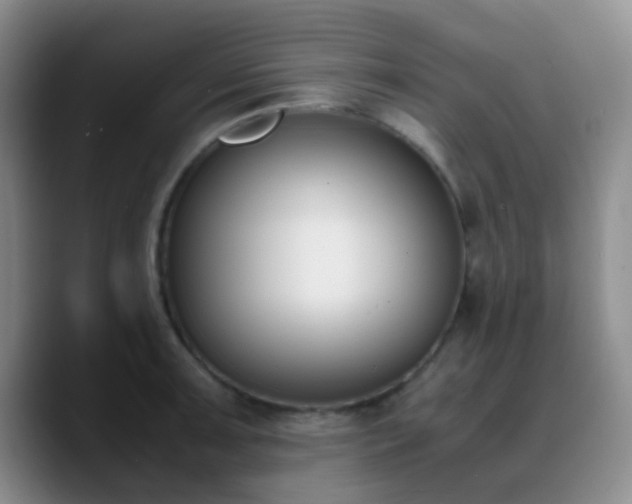 X0000090741091200707201424