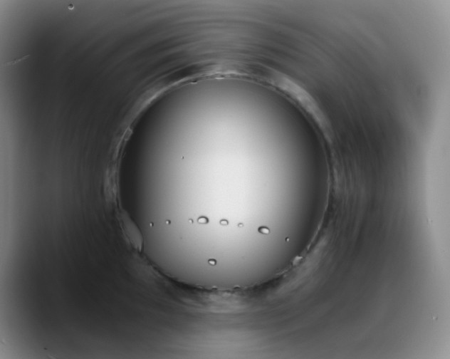 X0000090741097200707201424