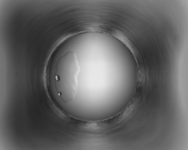 X0000090741098200707201424